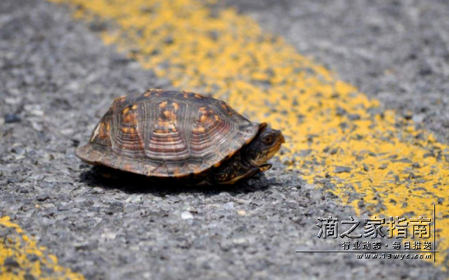 1709466197861226.png image.png